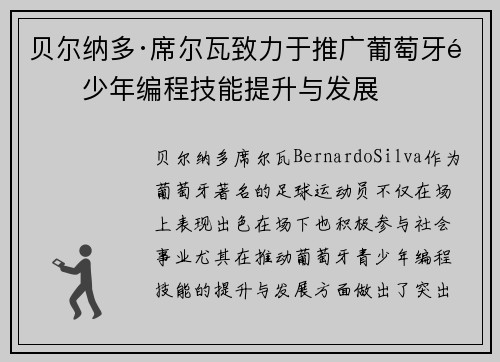 贝尔纳多·席尔瓦致力于推广葡萄牙青少年编程技能提升与发展
