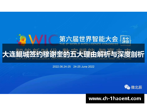 大连鲲城签约穆谢奎的五大理由解析与深度剖析