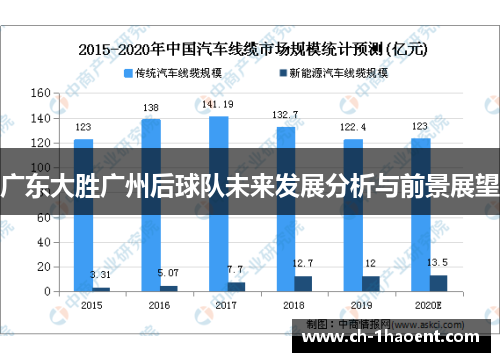 广东大胜广州后球队未来发展分析与前景展望