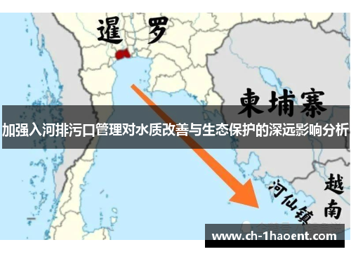 加强入河排污口管理对水质改善与生态保护的深远影响分析