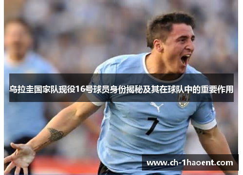 乌拉圭国家队现役16号球员身份揭秘及其在球队中的重要作用