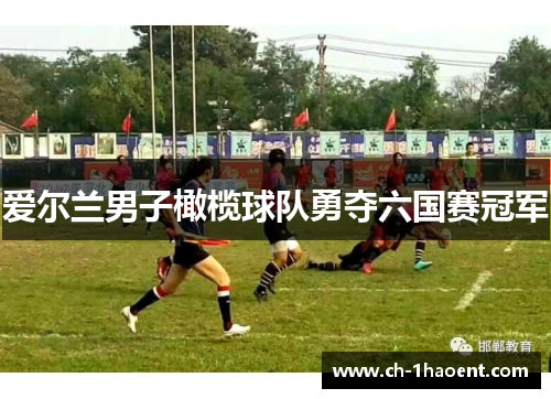 爱尔兰男子橄榄球队勇夺六国赛冠军