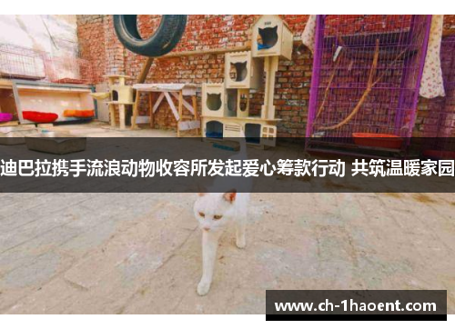 迪巴拉携手流浪动物收容所发起爱心筹款行动 共筑温暖家园 迪巴拉携手流浪动物收容所发起爱心筹款行动 共筑温暖家园