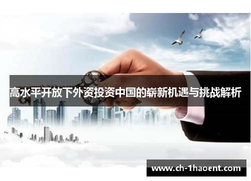 高水平开放下外资投资中国的崭新机遇与挑战解析 高水平开放下外资投资中国的崭新机遇与挑战解析